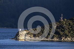 Ferry View Picton New Zealand