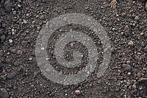 Fertil soil background