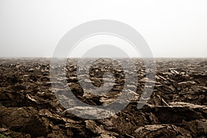 Fertile, dark soil, field after plowing