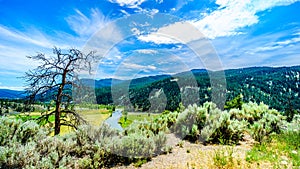 Fertile Farmland along the Nicola River between Merritt and Spences Bridge in British Columbia