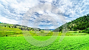 The fertile farmland among the rolling hills along Highway 5A between Kamloops and Merritt