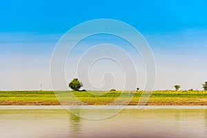 Fertile fields on the banks of the Irrawarddy river, Mandalay, Myanmar, Burma. Copy space for text.