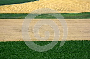 Fertile fields with corn and grain in landscape from height
