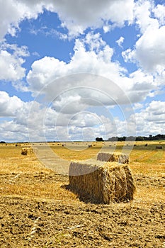 Straw bales stacked in a field of grain harvested