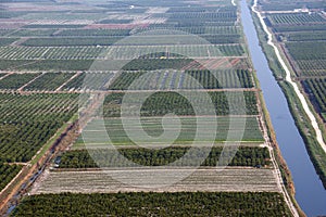 Fertile fields in the delta of Neretva River photo