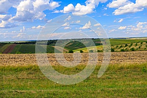 Fertile fields of Europe. Background with selective focus