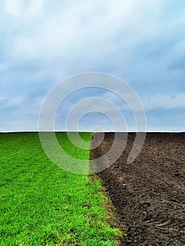Fertile and flat fields in Vojvodina