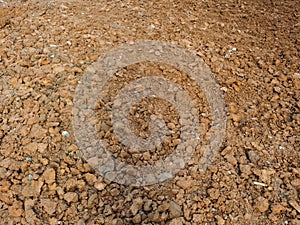 Fertile garden soil texture background top view