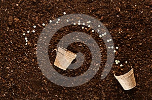 Fertile garden soil texture background top view