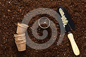 Fertile garden soil texture background top view