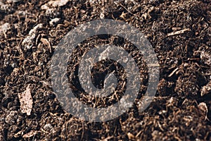 Fertile garden soil texture background top view