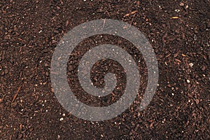 Fertile gardening soil top view