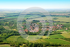 Fertile green vineyards and small village in summer