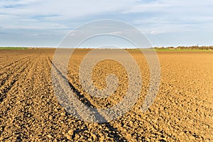 Fertile land, arable crop field, agricultural landscape