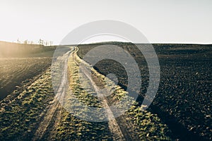 Fertile land. The road going to the horizon in the field