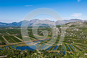 Fertile Neretva valley with crops and blue sky