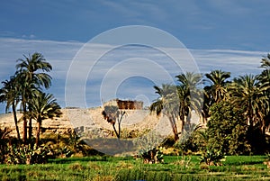 Fertile plains at river Nile in Egypt