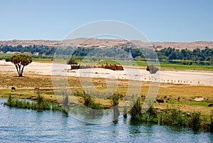 Fertile plains at river Nile in Egypt