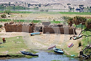 Fertile plains at river Nile in Egypt