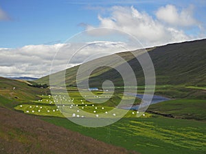 Fertile river valley with lush grass, straw bale and farm