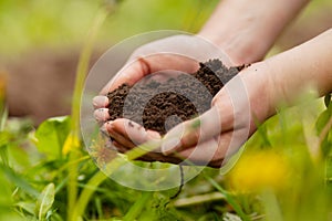 Fertile soil. Handful of earth in hand, sustainable farming