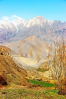 Fertile valley in the Himalayan mountains in the background of snowy peaks blue sky. Nepal. Kingdom Upper Mustang