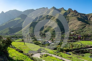 Fertile valley with mango and oranges fruit plantations, vineyards and avocados orchards near Agaete, Gran Canaria, Canary islands photo