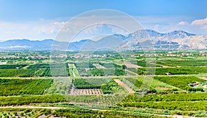 Fertile valley in mountains of Montenegro