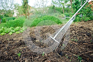 Fertilization with compost