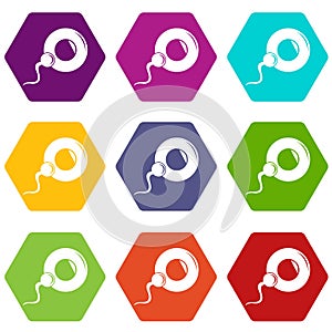 Fertilization egg icons set 9 vector