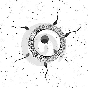 Fertilized egg with sperm. Vector illustration.