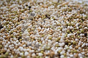 Fertilizers texture background