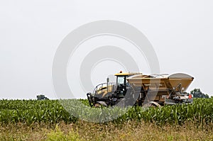 Fertilizing a corn field