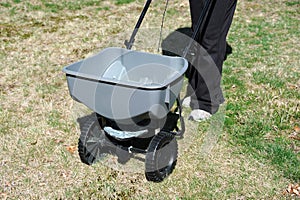 Fertilizing the lawn by fertilizer spreader