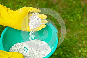 Fertilizing plants, lawns, trees and flowers. Gardener in gloves holds white fertilizer balls on grass photo