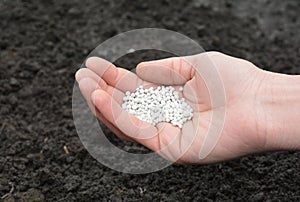 Fertilizing soil with mineral fertilizer in spring. A gardener is adding mineral fertilizer to replenish the soil in the vegetable