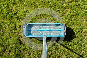 Fertilizing a young lawn with grass fertilizer in granules using a manual grass seeder.