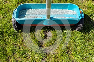 Fertilizing a young lawn with grass fertilizer in granules using a manual grass seeder.