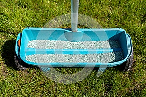 Fertilizing a young lawn with grass fertilizer in granules using a manual grass seeder.