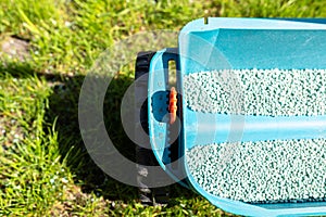 Fertilizing a young lawn with grass fertilizer in granules using a manual grass seeder.