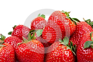 Fesh strawberries