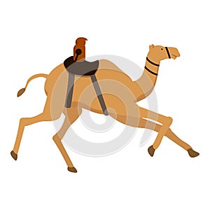 Festival activity race camel icon cartoon vector. India track