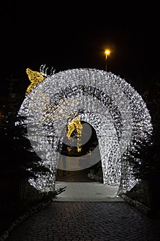 Festival of Christmas lights, with sparkling igloos and reindeer