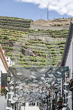 Festival decoration with tinny fishes at Camara do Lobos, Madeira