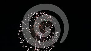 Festival fireworks burst in midair