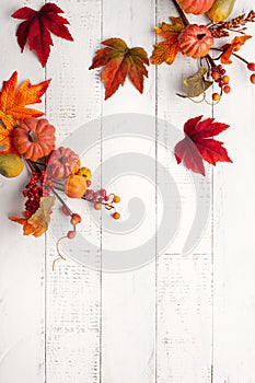 Festive autumn decor from pumpkins, berries and leaves on a white  wooden background. Concept of Thanksgiving day or Halloween.