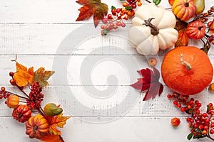 Festive autumn decor from pumpkins, berries and leaves on a white  wooden background. Concept of Thanksgiving day or Halloween.