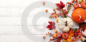 Festive autumn decor from pumpkins, berries and leaves on a white  wooden background. Concept of Thanksgiving day or Halloween. photo