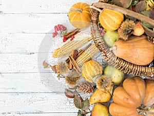 Festive autumn decor from pumpkins, berries and leaves on a white wooden background. Concept of Thanksgiving day or Halloween.