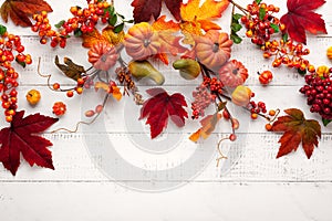 Festive autumn decor from pumpkins, berries and leaves on a white  wooden background. Concept of Thanksgiving day or Halloween.